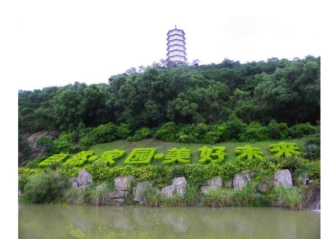 深圳适合带女生玩的地方-深圳适合带女生玩的地方排行榜